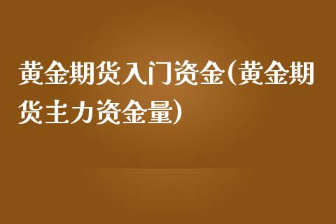 黄金期货入门资金(黄金期货主力资金量)_https://www.zztgc.com_黄金期货_第1张