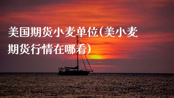 美国期货小麦单位(美小麦期货行情在哪看)_https://www.zztgc.com_黄金期货_第1张