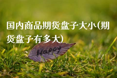 国内商品期货盘子大小(期货盘子有多大)_https://www.zztgc.com_期货行情_第1张
