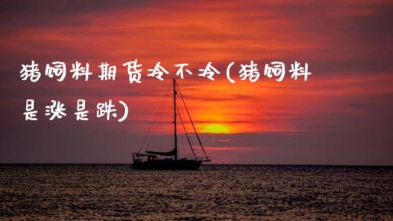 猪饲料期货冷不冷(猪饲料是涨是跌)_https://www.zztgc.com_期货入门_第1张
