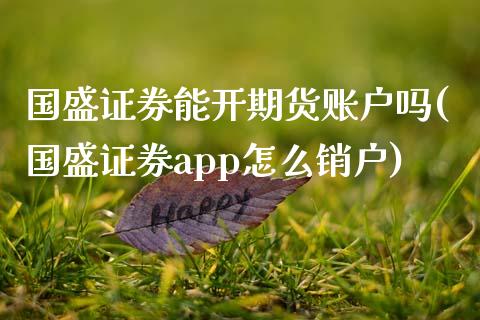 国盛证券能开期货账户吗(国盛证券app怎么销户)_https://www.zztgc.com_期货直播_第1张