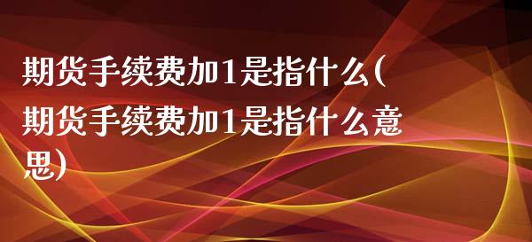 期货手续费加1是指什么(期货手续费加1是指什么意思)_https://www.zztgc.com_期货行情_第1张