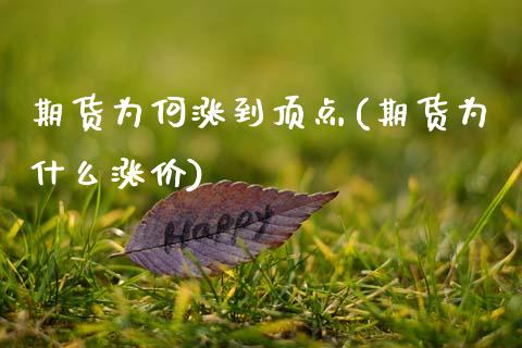期货为何涨到顶点(期货为什么涨价)_https://www.zztgc.com_黄金期货_第1张