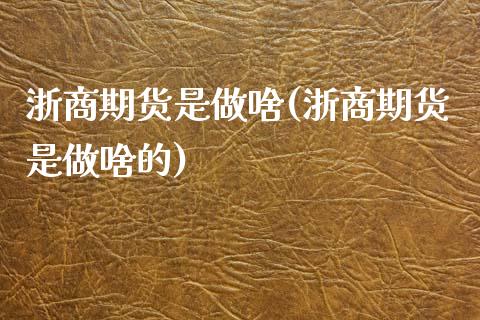 浙商期货是做啥(浙商期货是做啥的)_https://www.zztgc.com_原油期货_第1张