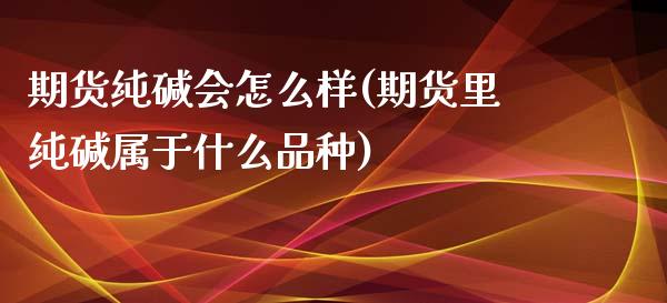 期货纯碱会怎么样(期货里纯碱属于什么品种)_https://www.zztgc.com_黄金期货_第1张