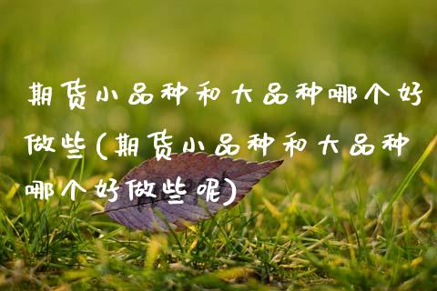 期货小品种和大品种哪个好做些(期货小品种和大品种哪个好做些呢)_https://www.zztgc.com_原油期货_第1张
