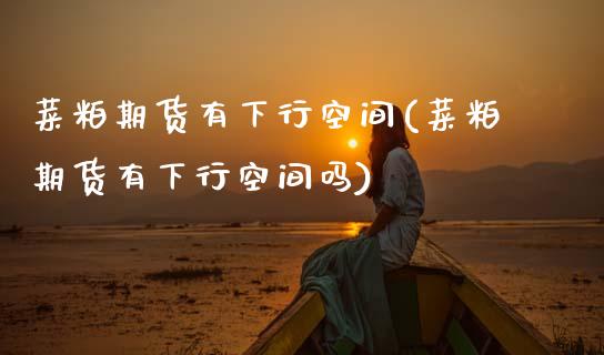 菜粕期货有下行空间(菜粕期货有下行空间吗)_https://www.zztgc.com_期货行情_第1张