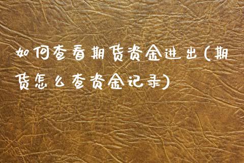 如何查看期货资金进出(期货怎么查资金记录)_https://www.zztgc.com_原油期货_第1张