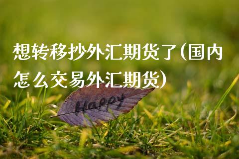 想转移抄外汇期货了(国内怎么交易外汇期货)_https://www.zztgc.com_期货直播_第1张