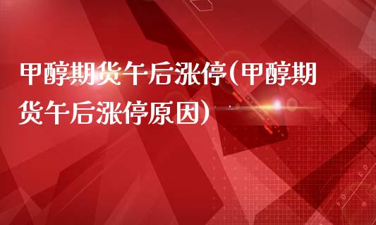 甲醇期货午后涨停(甲醇期货午后涨停原因)_https://www.zztgc.com_期货直播_第1张
