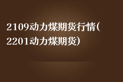 2109动力煤期货行情(2201动力煤期货)_https://www.zztgc.com_原油期货_第1张