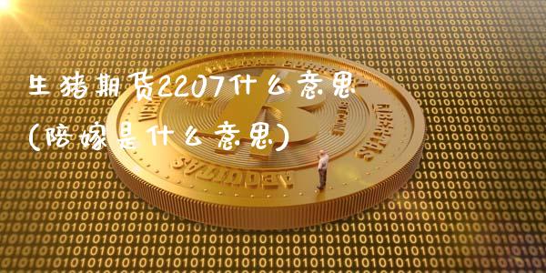 生猪期货2207什么意思(陪嫁是什么意思)_https://www.zztgc.com_期货开户_第1张