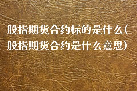 股指期货合约标的是什么(股指期货合约是什么意思)_https://www.zztgc.com_黄金期货_第1张