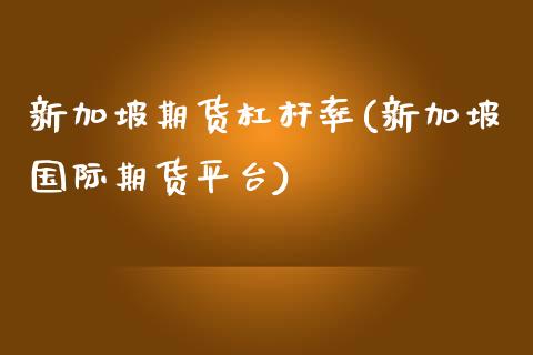 新加坡期货杠杆率(新加坡国际期货平台)_https://www.zztgc.com_期货行情_第1张
