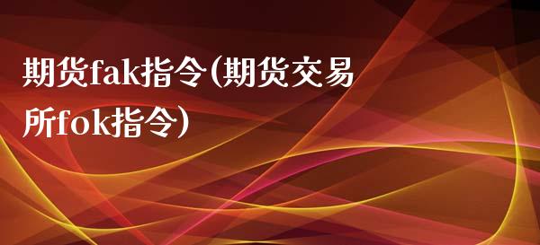 期货fak指令(期货交易所fok指令)_https://www.zztgc.com_期货入门_第1张