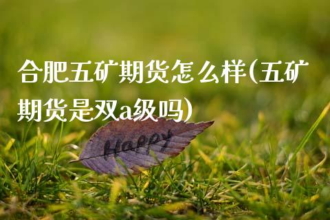 合肥五矿期货怎么样(五矿期货是双a级吗)_https://www.zztgc.com_黄金期货_第1张
