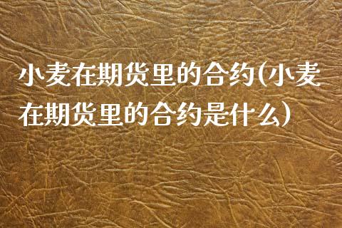 小麦在期货里的合约(小麦在期货里的合约是什么)_https://www.zztgc.com_期货行情_第1张