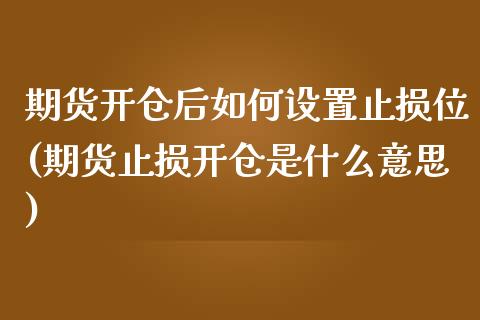 期货开仓后如何设置止损位(期货止损开仓是什么意思)_https://www.zztgc.com_期货开户_第1张