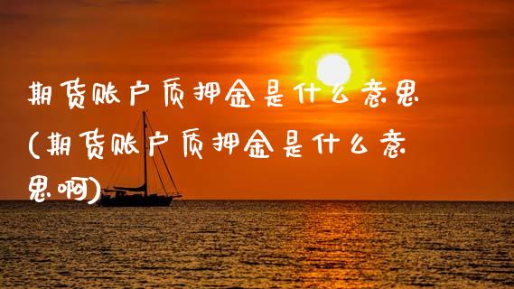 期货账户质押金是什么意思(期货账户质押金是什么意思啊)_https://www.zztgc.com_黄金期货_第1张
