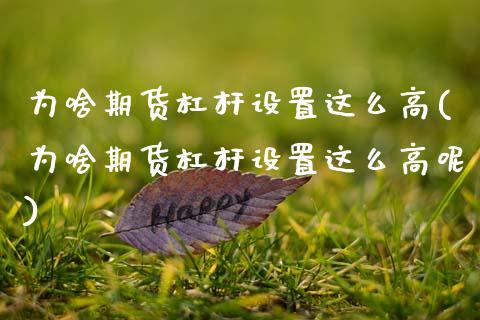 为啥期货杠杆设置这么高(为啥期货杠杆设置这么高呢)_https://www.zztgc.com_期货直播_第1张
