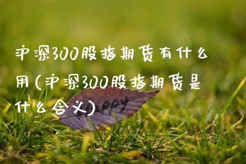 沪深300股指期货有什么用(沪深300股指期货是什么含义)_https://www.zztgc.com_期货直播_第1张