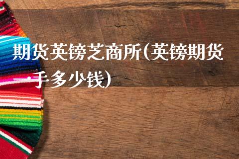 期货英镑芝商所(英镑期货一手多少钱)_https://www.zztgc.com_黄金期货_第1张