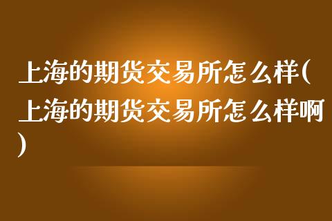 上海的期货交易所怎么样(上海的期货交易所怎么样啊)_https://www.zztgc.com_原油期货_第1张
