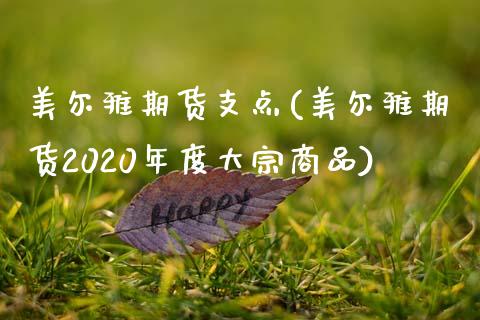 美尔雅期货支点(美尔雅期货2020年度大宗商品)_https://www.zztgc.com_期货行情_第1张