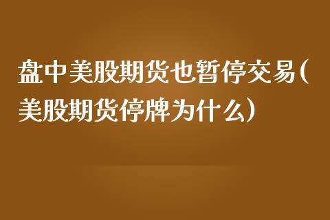 盘中美股期货也暂停交易(美股期货停牌为什么)_https://www.zztgc.com_期货行情_第1张