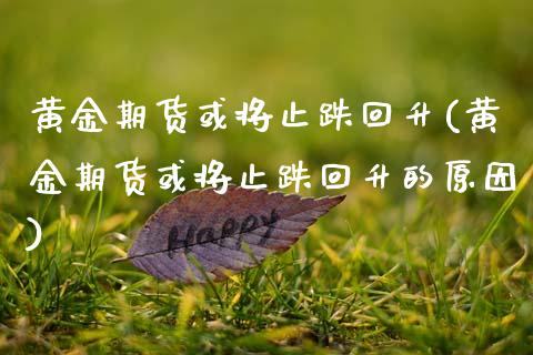 黄金期货或将止跌回升(黄金期货或将止跌回升的原因)_https://www.zztgc.com_期货直播_第1张