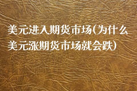 美元进入期货市场(为什么美元涨期货市场就会跌)_https://www.zztgc.com_期货直播_第1张