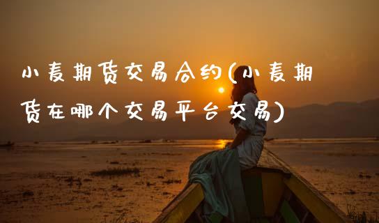 小麦期货交易合约(小麦期货在哪个交易平台交易)_https://www.zztgc.com_期货入门_第1张