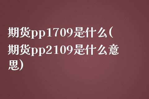 期货pp1709是什么(期货pp2109是什么意思)_https://www.zztgc.com_期货行情_第1张