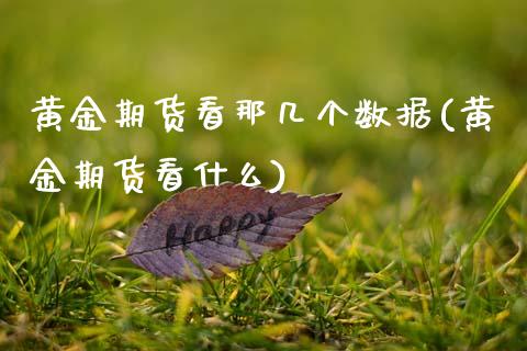 黄金期货看那几个数据(黄金期货看什么)_https://www.zztgc.com_期货直播_第1张