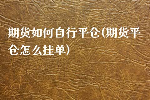 期货如何自行平仓(期货平仓怎么挂单)_https://www.zztgc.com_期货入门_第1张