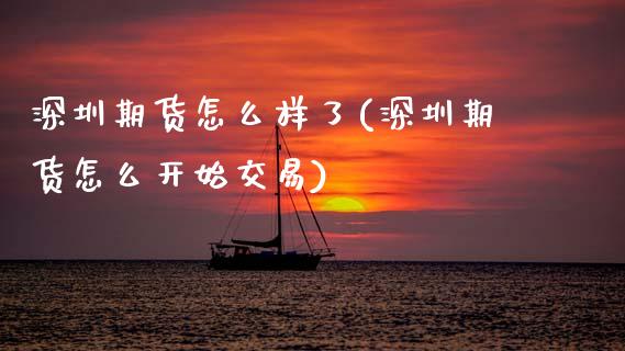 深圳期货怎么样了(深圳期货怎么开始交易)_https://www.zztgc.com_期货入门_第1张