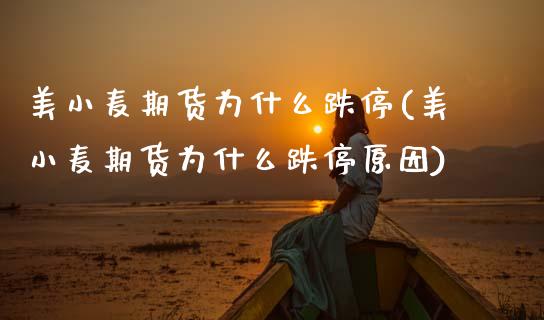 美小麦期货为什么跌停(美小麦期货为什么跌停原因)_https://www.zztgc.com_黄金期货_第1张
