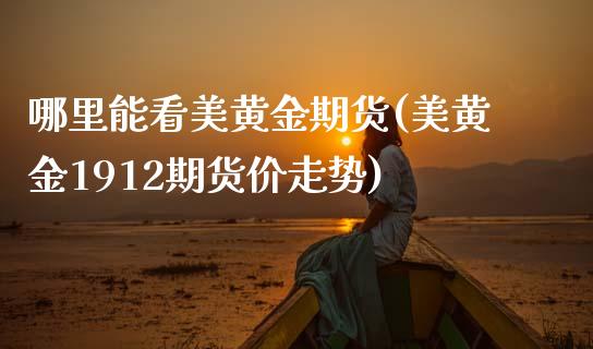 哪里能看美黄金期货(美黄金1912期货价走势)_https://www.zztgc.com_期货开户_第1张