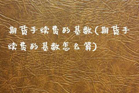 期货手续费的基数(期货手续费的基数怎么算)_https://www.zztgc.com_期货入门_第1张