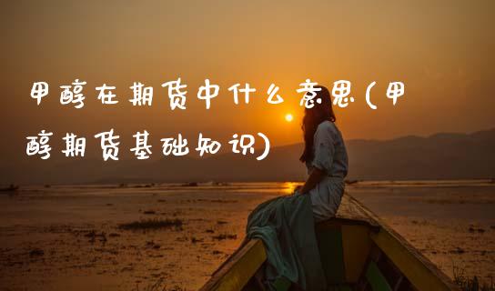 甲醇在期货中什么意思(甲醇期货基础知识)_https://www.zztgc.com_期货入门_第1张
