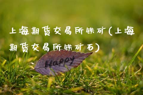 上海期货交易所铁矿(上海期货交易所铁矿石)_https://www.zztgc.com_黄金期货_第1张