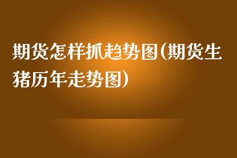 期货怎样抓趋势图(期货生猪历年走势图)_https://www.zztgc.com_期货直播_第1张