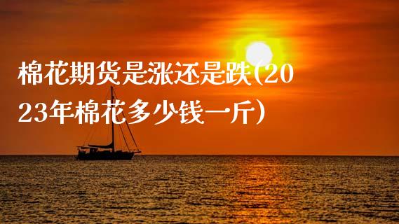 棉花期货是涨还是跌(2023年棉花多少钱一斤)_https://www.zztgc.com_期货直播_第1张