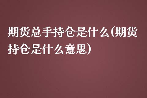 期货总手持仓是什么(期货持仓是什么意思)_https://www.zztgc.com_原油期货_第1张