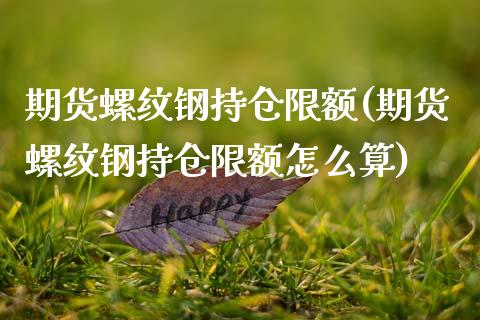 期货螺纹钢持仓限额(期货螺纹钢持仓限额怎么算)_https://www.zztgc.com_期货直播_第1张