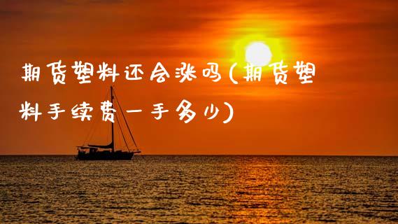 期货塑料还会涨吗(期货塑料手续费一手多少)_https://www.zztgc.com_期货入门_第1张