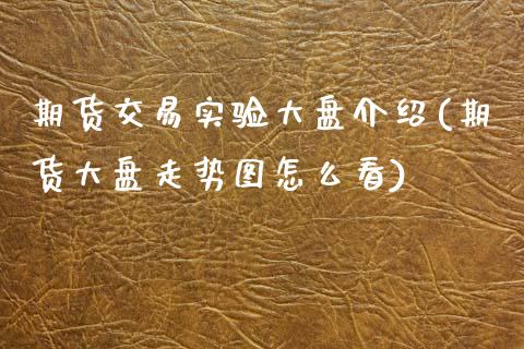 期货交易实验大盘介绍(期货大盘走势图怎么看)_https://www.zztgc.com_期货入门_第1张