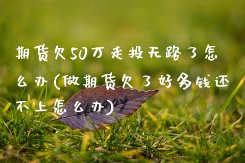 期货欠50万走投无路了怎么办(做期货欠了好多钱还不上怎么办)_https://www.zztgc.com_期货直播_第1张
