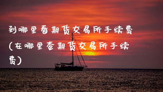 到哪里看期货交易所手续费(在哪里查期货交易所手续费)_https://www.zztgc.com_期货直播_第1张