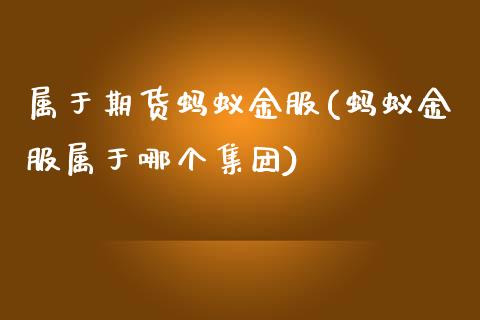 属于期货蚂蚁金服(蚂蚁金服属于哪个集团)_https://www.zztgc.com_期货直播_第1张
